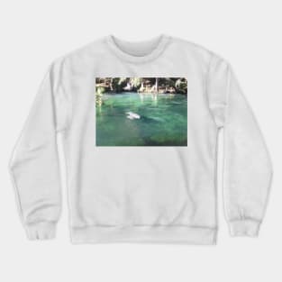 Manatees Swimming at Blue Springs State Park Florida Crewneck Sweatshirt